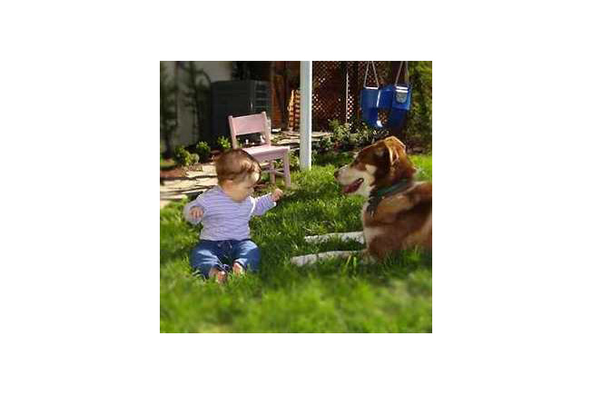 Child Friendly Garden