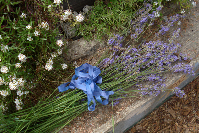 Child Friendly Garden